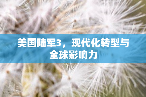 美国陆军3，现代化转型与全球影响力