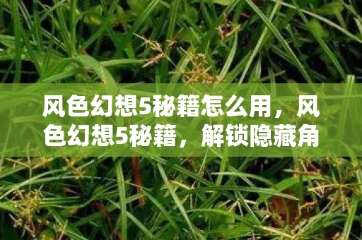 风色幻想5秘籍怎么用，风色幻想5秘籍，解锁隐藏角色与强力技能
