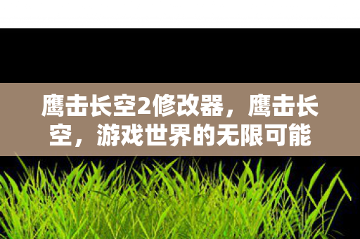 鹰击长空2修改器，鹰击长空，游戏世界的无限可能