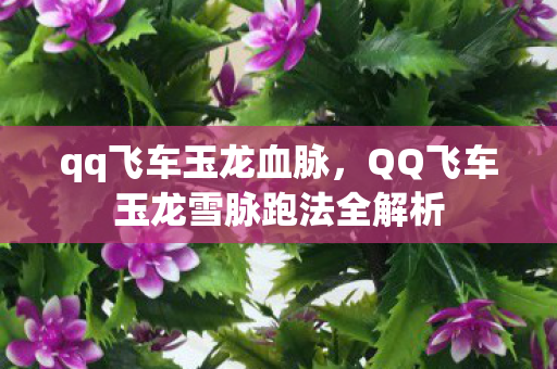 qq飞车玉龙血脉，QQ飞车玉龙雪脉跑法全解析