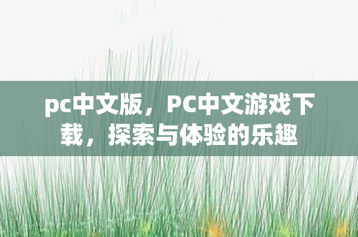 pc中文版，PC中文游戏下载，探索与体验的乐趣