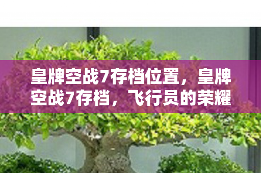皇牌空战7存档位置，皇牌空战7存档，飞行员的荣耀与传承