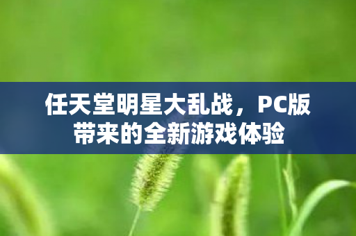 任天堂明星大乱战，PC版带来的全新游戏体验