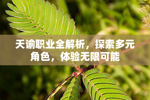 天谕职业全解析，探索多元角色，体验无限可能
