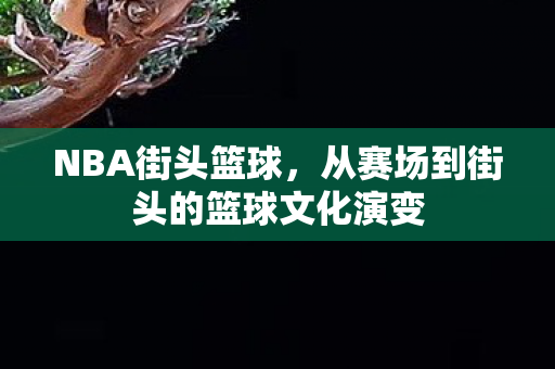 NBA街头篮球，从赛场到街头的篮球文化演变