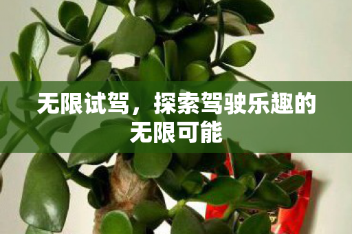 无限试驾，探索驾驶乐趣的无限可能