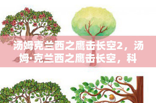汤姆克兰西之鹰击长空2，汤姆·克兰西之鹰击长空，科技与战略交织的空中传奇