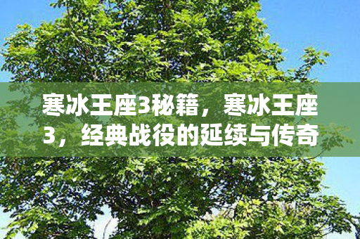 寒冰王座3秘籍，寒冰王座3，经典战役的延续与传奇的续写