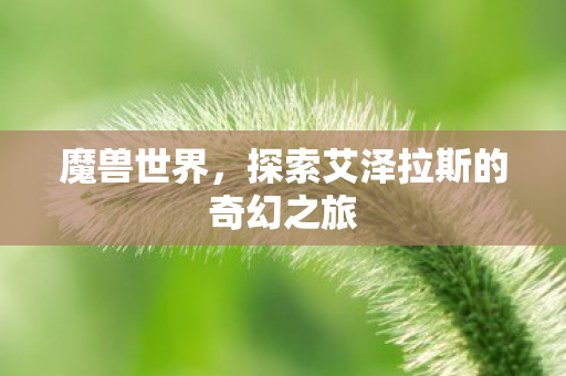 魔兽世界，探索艾泽拉斯的奇幻之旅