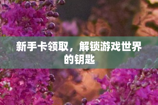 新手卡领取，解锁游戏世界的钥匙