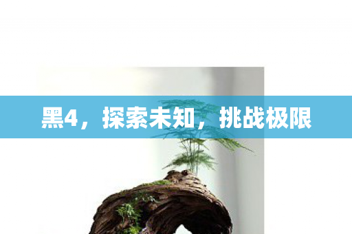 黑4，探索未知，挑战极限