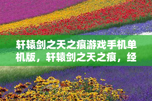 轩辕剑之天之痕游戏手机单机版，轩辕剑之天之痕，经典游戏的回忆与传承