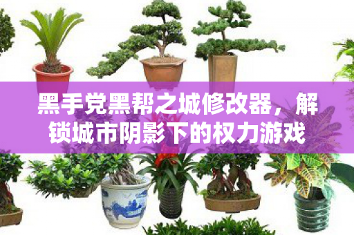 黑手党黑帮之城修改器，解锁城市阴影下的权力游戏