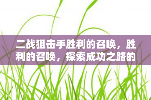 二战狙击手胜利的召唤,胜利的召唤,探索成功之路的奥秘 二战狙击手胜利的召唤,胜利的召唤,探索成功之路的奥秘