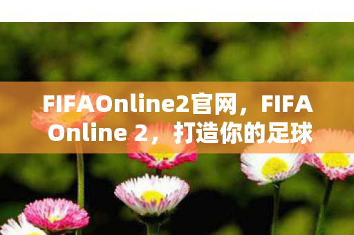 FIFAOnline2官网，FIFA Online 2，打造你的足球梦想