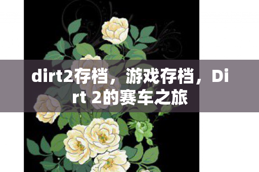 dirt2存档，游戏存档，Dirt 2的赛车之旅