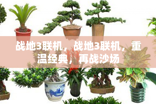 战地3联机图片