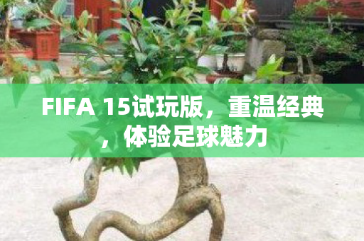 FIFA 15试玩版，重温经典，体验足球魅力
