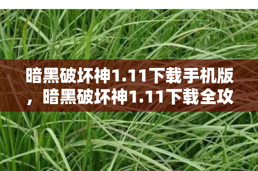 暗黑破坏神1.11下载手机版，暗黑破坏神1.11下载全攻略，重温经典，重温传奇