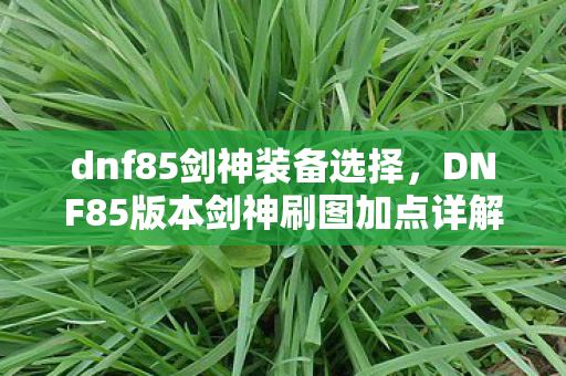 dnf85剑神装备选择，DNF85版本剑神刷图加点详解
