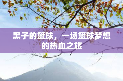 黑子的篮球，一场篮球梦想的热血之旅