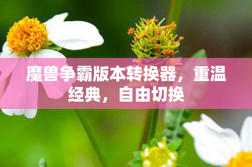 魔兽争霸版本转换器，重温经典，自由切换