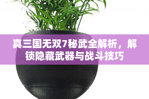 真三国无双7秘武全解析，解锁隐藏武器与战斗技巧