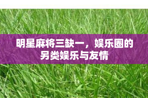 明星麻将三缺一，娱乐圈的另类娱乐与友情