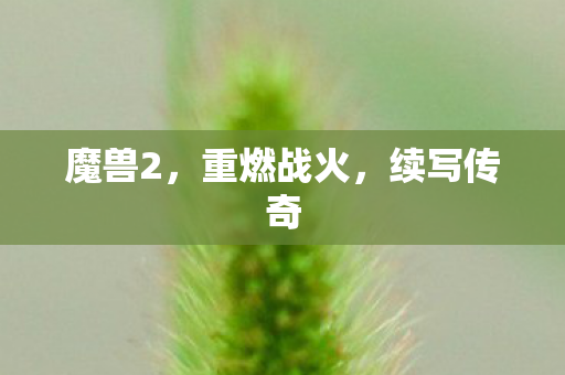 魔兽2，重燃战火，续写传奇