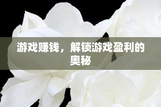 游戏赚钱，解锁游戏盈利的奥秘
