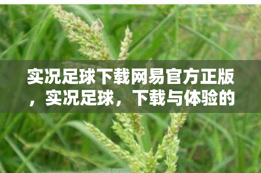 实况足球下载网易官方正版，实况足球，下载与体验的全面指南