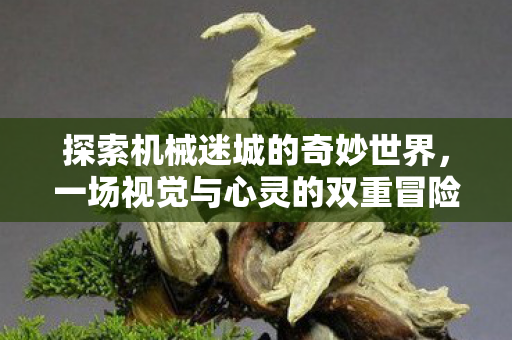 探索机械迷城的奇妙世界，一场视觉与心灵的双重冒险
