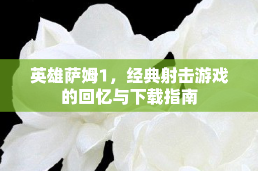英雄萨姆1，经典射击游戏的回忆与下载指南
