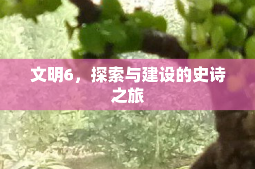 文明6，探索与建设的史诗之旅