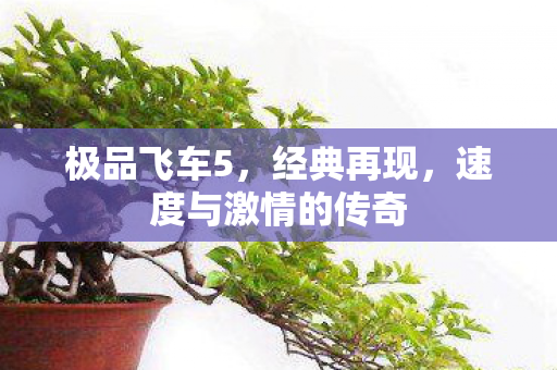 极品飞车5,经典再现,速度与激情的传奇 极品飞车5,经典再现,速度与激情的传奇