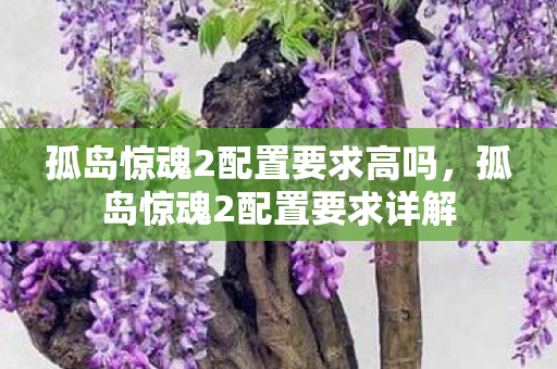 孤岛惊魂2配置要求高吗，孤岛惊魂2配置要求详解