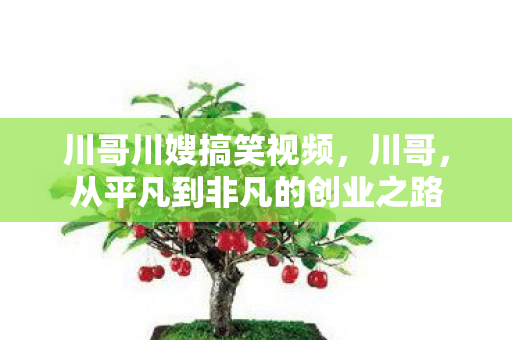 川哥川嫂搞笑视频,川哥,从平凡到非凡的创业之路 川哥川嫂搞笑视频,川哥,从平凡到非凡的创业之路