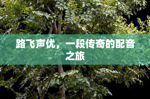 路飞声优，一段传奇的配音之旅