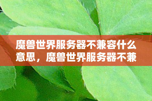魔兽世界服务器不兼容什么意思，魔兽世界服务器不兼容，玩家面临的困境与解决方案