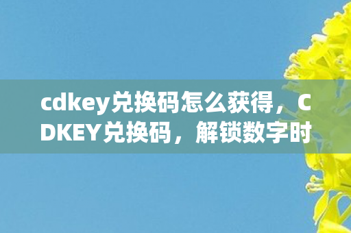 cdkey兑换码怎么获得图片