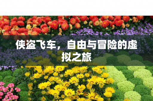 侠盗飞车，自由与冒险的虚拟之旅