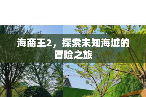 海商王2，探索未知海域的冒险之旅