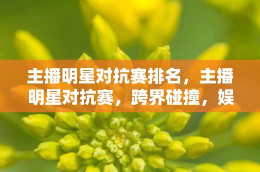 主播明星对抗赛排名，主播明星对抗赛，跨界碰撞，娱乐新风尚