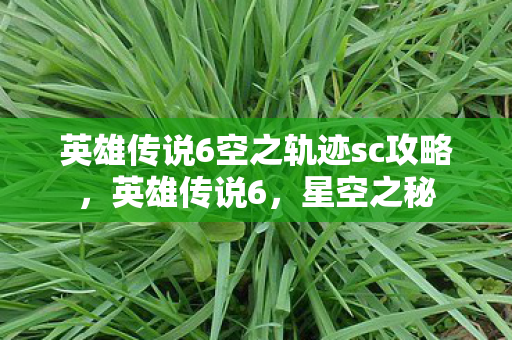 英雄传说6空之轨迹sc攻略，英雄传说6，星空之秘