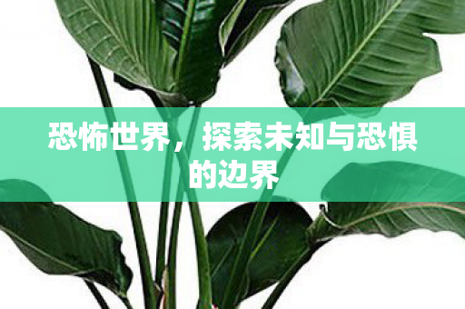 恐怖世界，探索未知与恐惧的边界