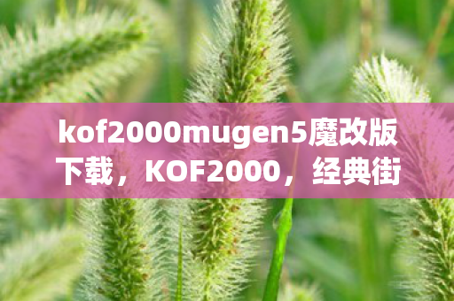 kof2000mugen5魔改版下载，KOF2000，经典街机格斗游戏的巅峰之作