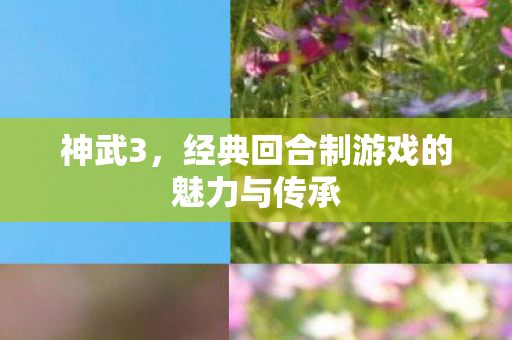 经典回合制游戏的魅力与传承图片