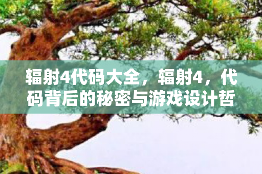 辐射4代码大全，辐射4，代码背后的秘密与游戏设计哲学