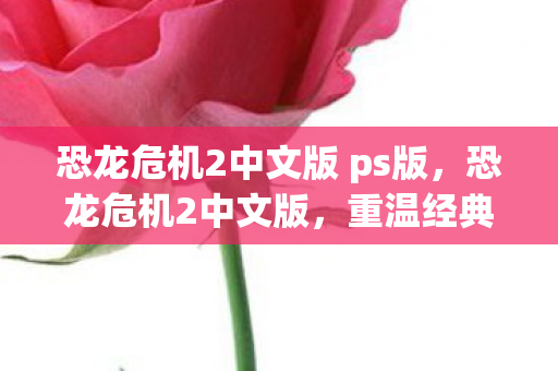 恐龙危机2中文版 ps版图片
