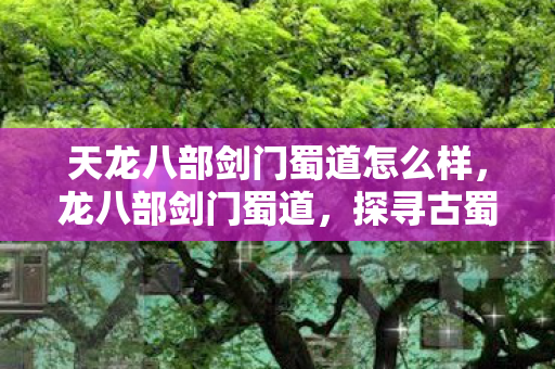 天龙八部剑门蜀道怎么样，龙八部剑门蜀道，探寻古蜀文化的神秘之旅